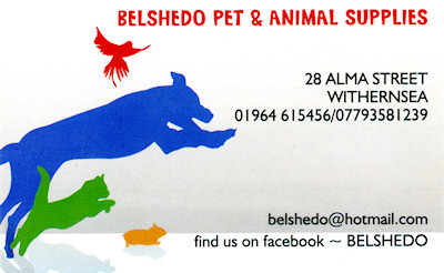 Belshedo Pet & Animal Supplies