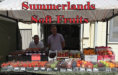 Summerlands Soft Fruits