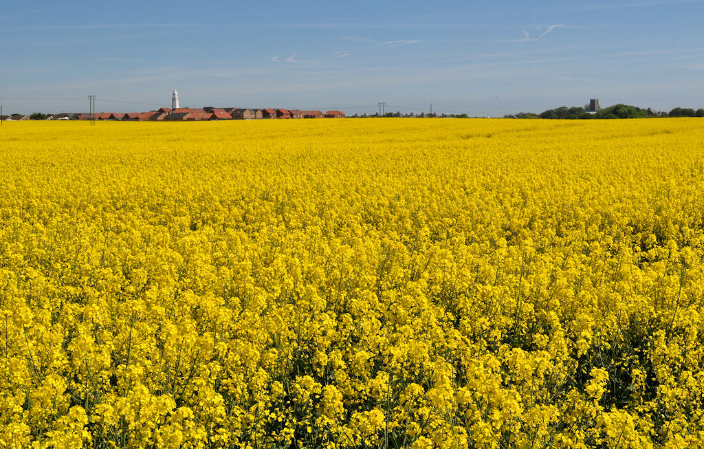 View of Withernsea from railway tracks