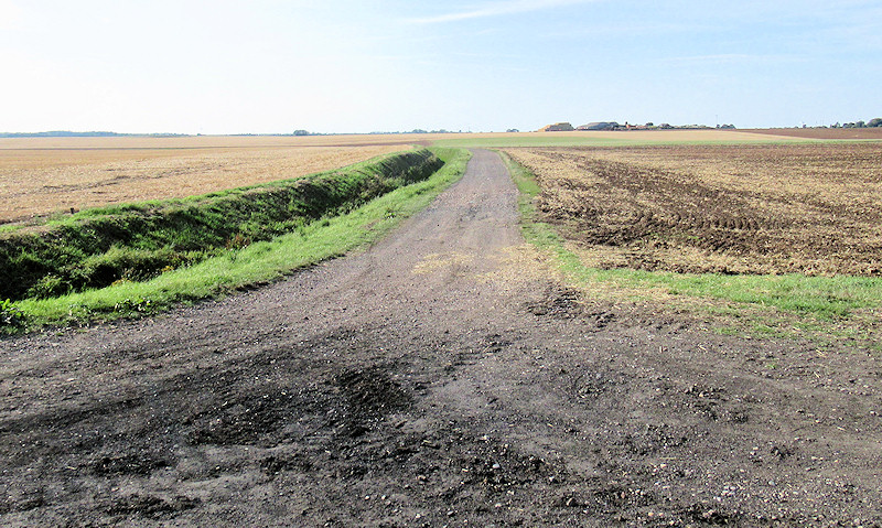 Traks through fields near Withernsea