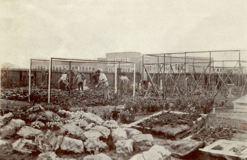 School Gardens